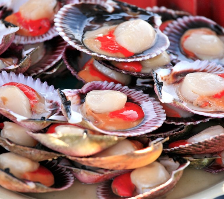 Time for Scallop Recipes