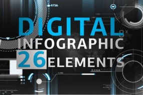 Digital Infographic