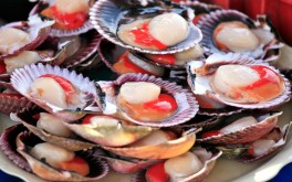 Time for Scallop Recipes
